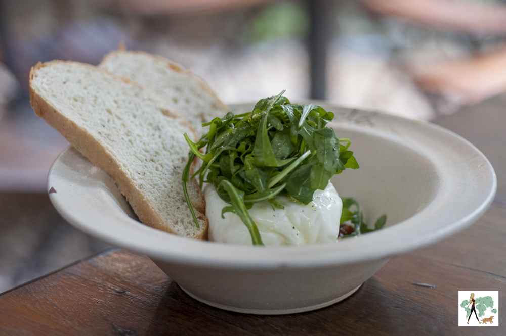 Jacarandá é pet friendly burrata