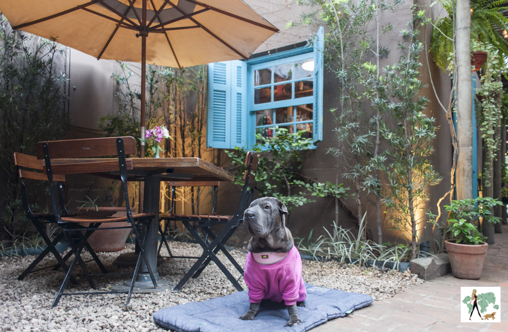 Jacarandá é pet friendly cachorro sentado de frente para mesas e cadeiras
