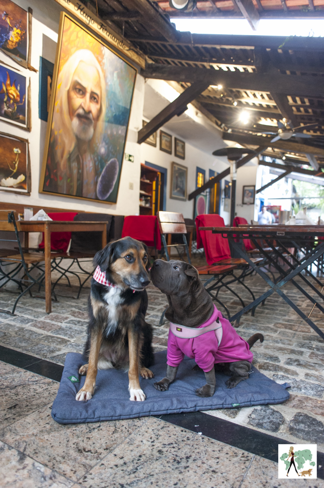 O Garimpo em Embu das Artes cachorros sentados na parte de dentro de restaurante com quadro atrás