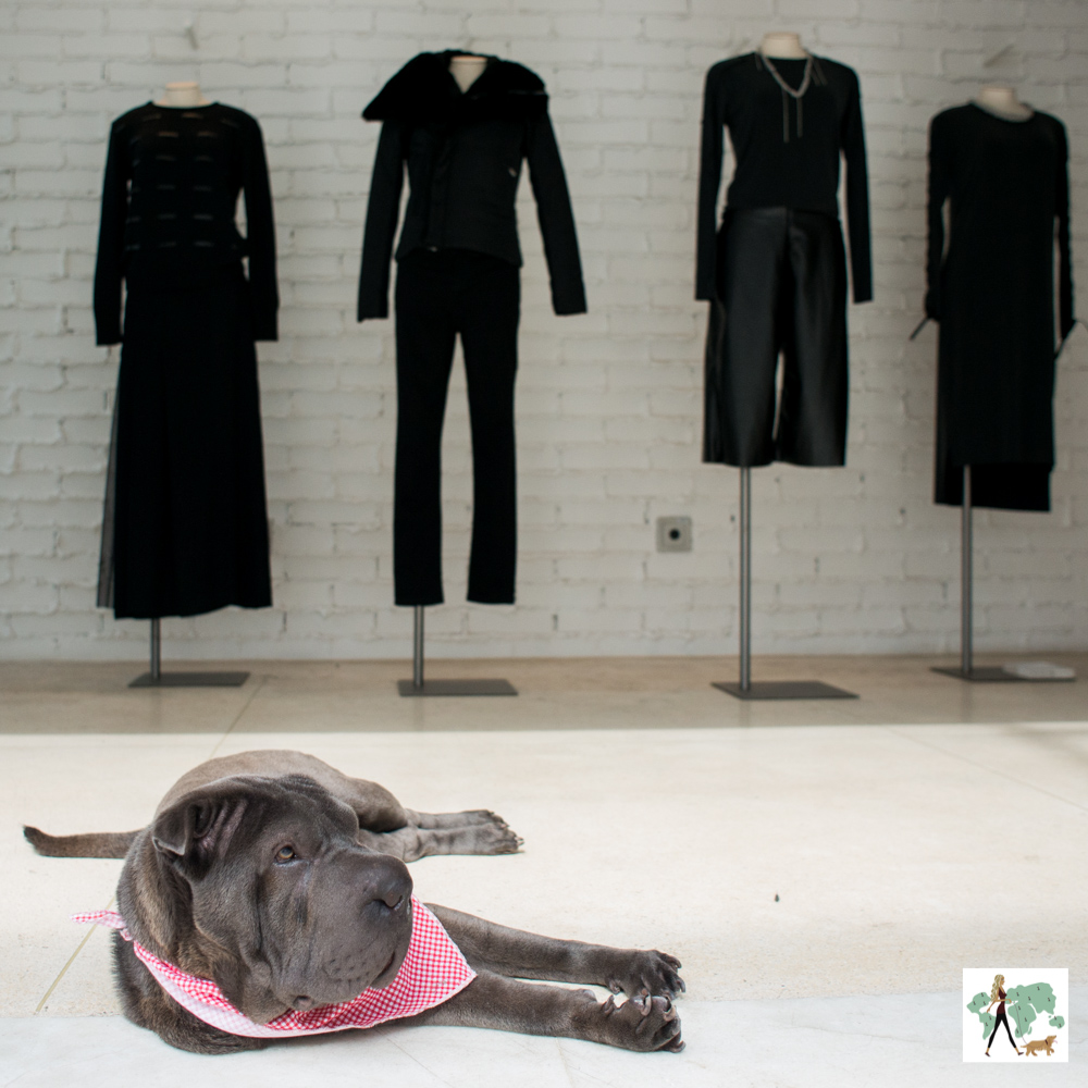 cachorrodeitado com manequins vestidos de roupas femininas atrás
