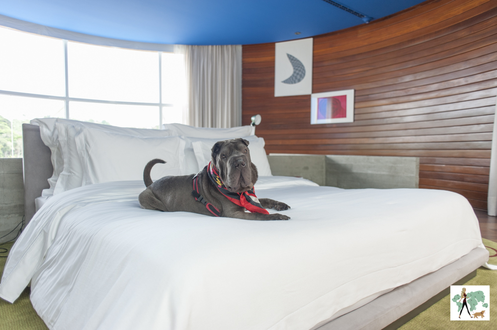 cachorro deitado em cima de cama de hotel