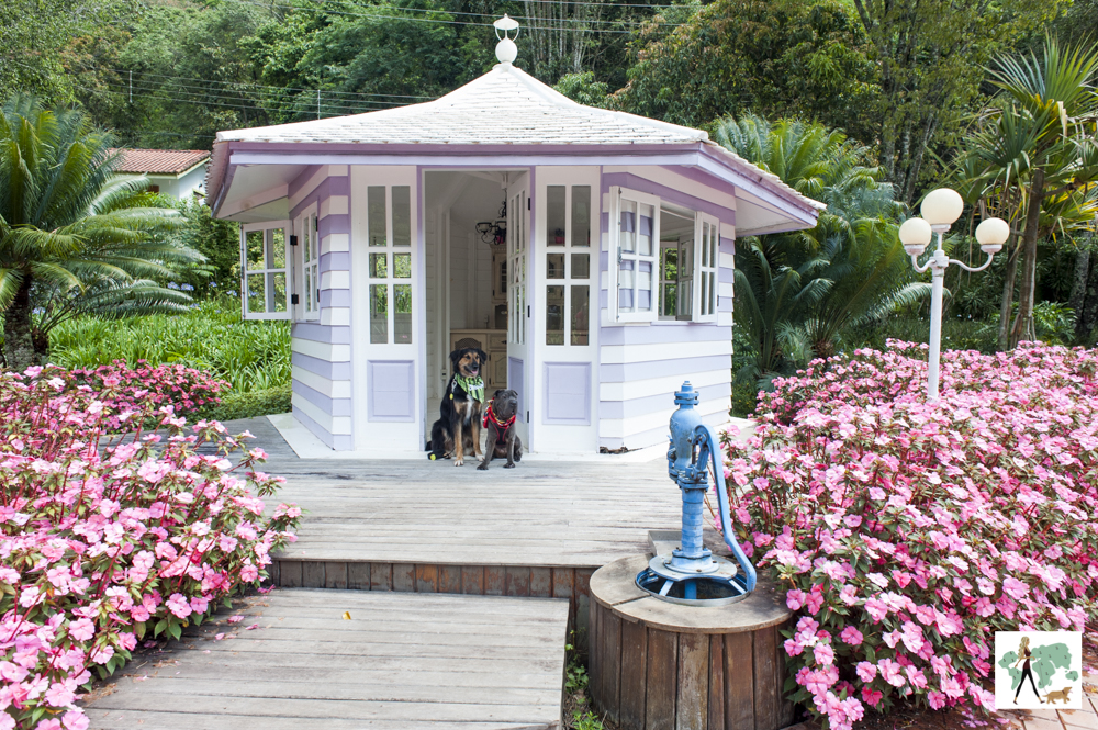cachorros sentados em casinha com jardim de flores