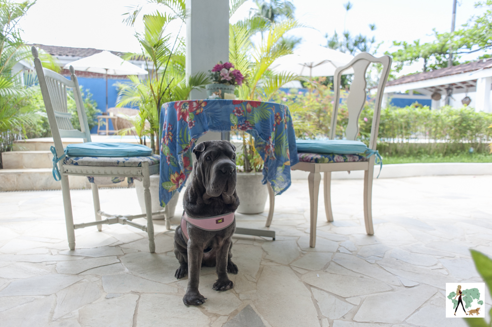 A Pousada Canto das Laranjeiras Pernambuco Villa no Guarujá é pet friendly cachorro perto da mesa