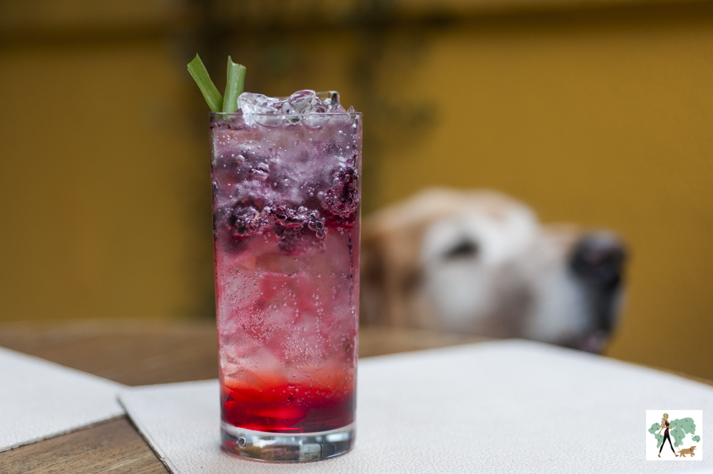 Restaurante Maracujá nos Jardins é pet friendly drink