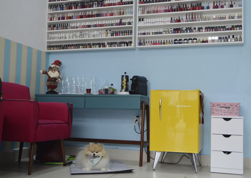 cachorro deitado em esmalteria