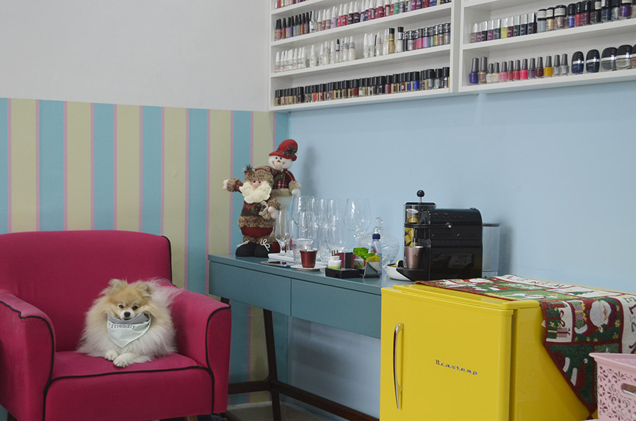 cachorro sentado em poltrona em esmalteria