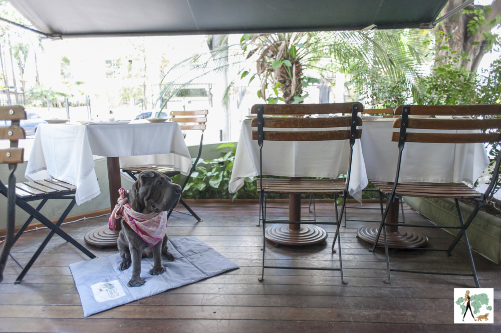 cachorro na varanda do restaurante Ton Ton