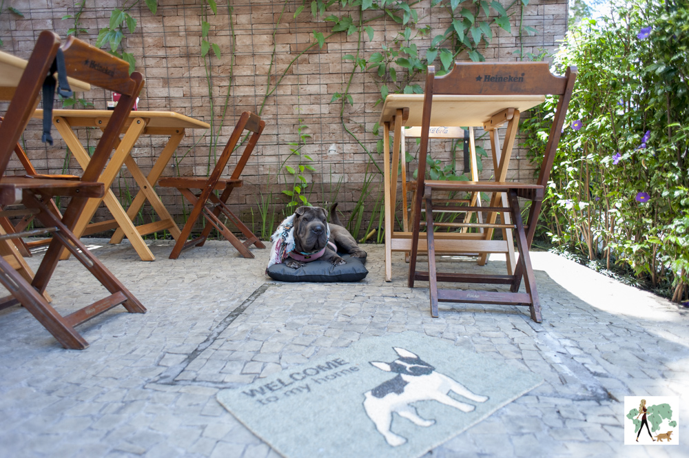cachorro em deque pet friendly do restaurante Fritos e Assados