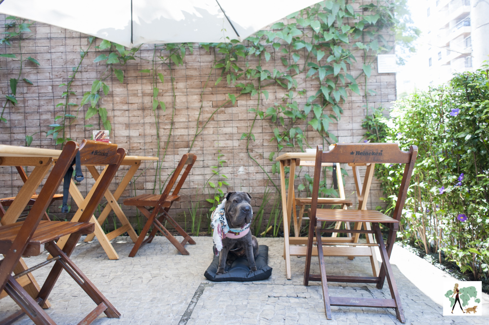 cachorro em deque pet friendly no restaurante Fritos e Assados