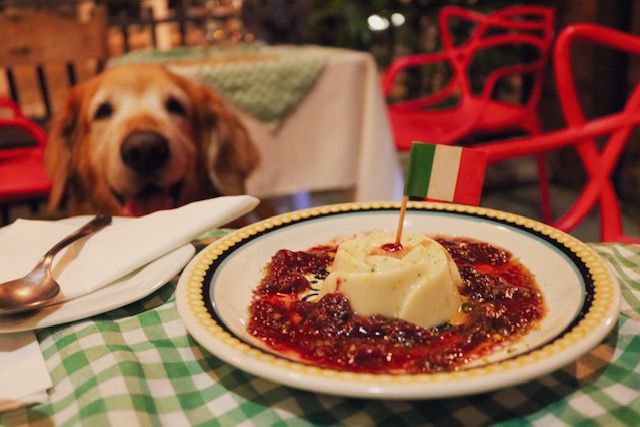 pannacotta em cima da mesa e cachorro ao fundo