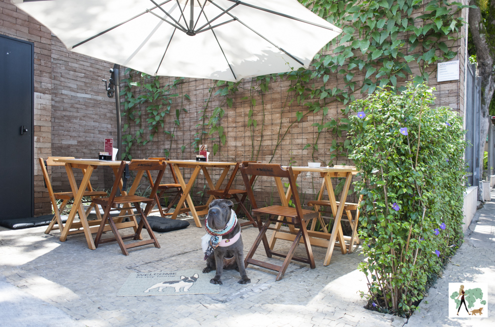 cachorro em deck pet friendly do restaurante Fritos e Assados