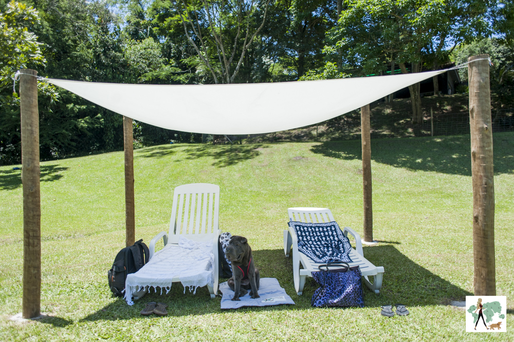 cachorro embaixo da tenda na pousada Gaia Viva