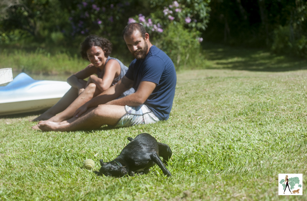 cachorro se esfregando na grama e homem e mulher sentados olhando