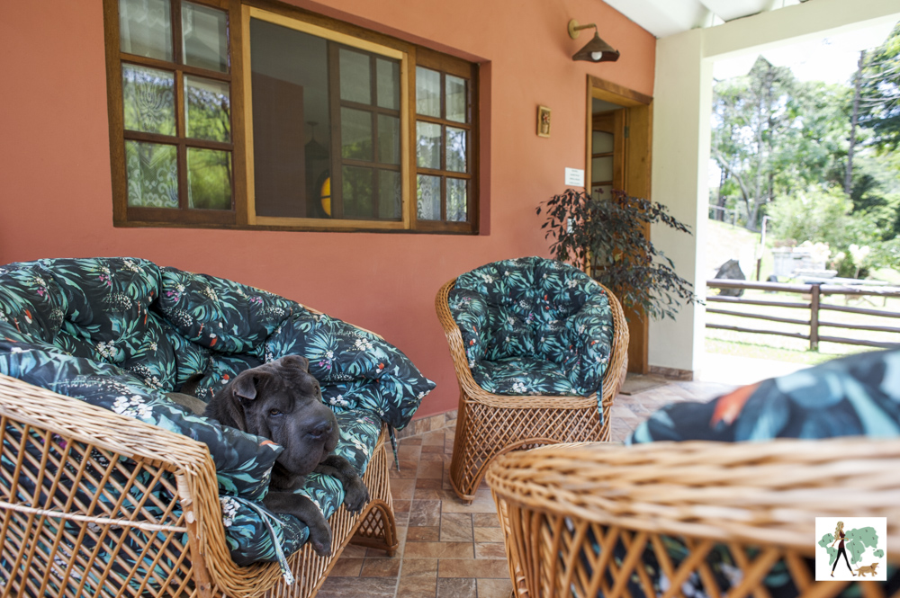 cachorro deitado em varanda da pousada Gaia Viva