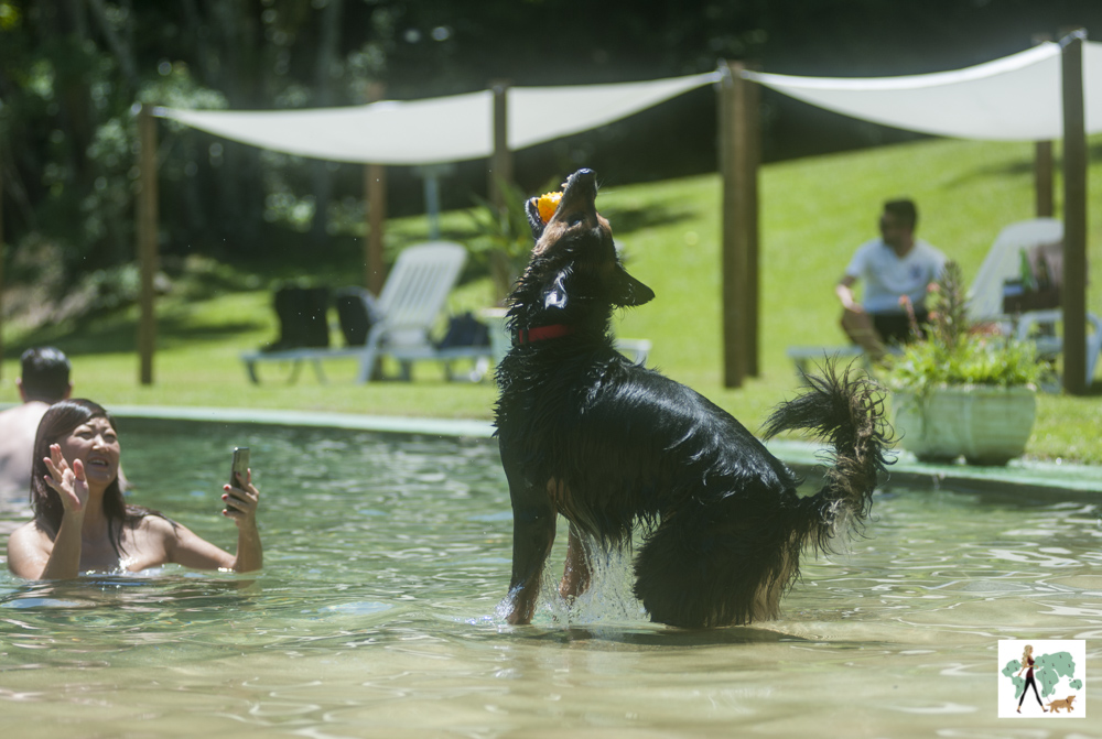 cachorro e mulher brincando de jogar bolinha na piscina da Gaia Viva