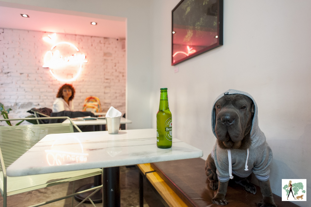 cachorro sentado em cima de banco no café do Oliveira