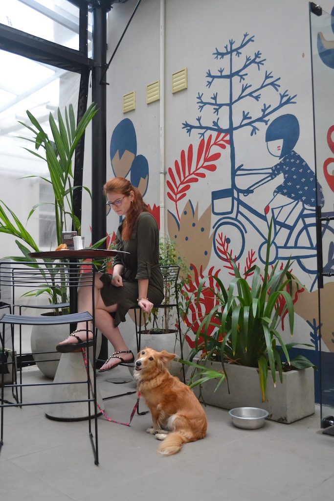 lugar pet friendly em Porto Alegre cachorro e mulher sentados em mesa alta