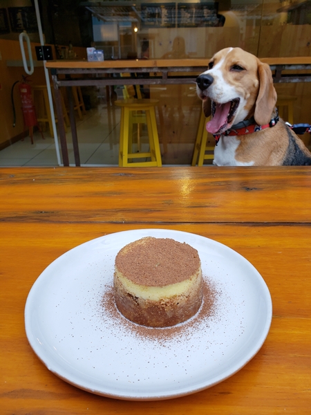 doce em cima de mesa e cachorro ao fundo