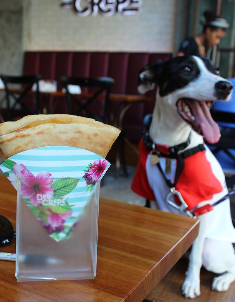 pet friendly em Porto Alegre crepe em cima da mesa e cachorro sentado em cima da cadeira