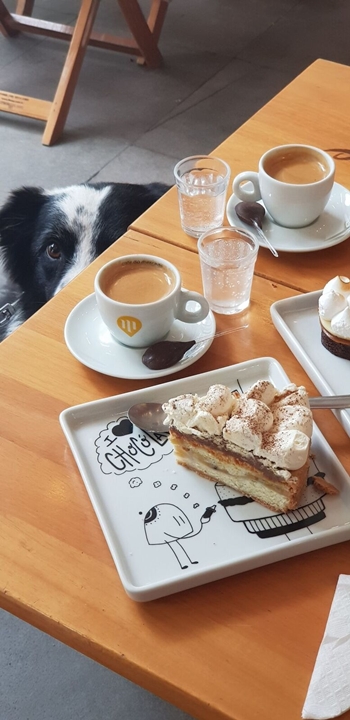 um pedaço de torta, café e o cachorro