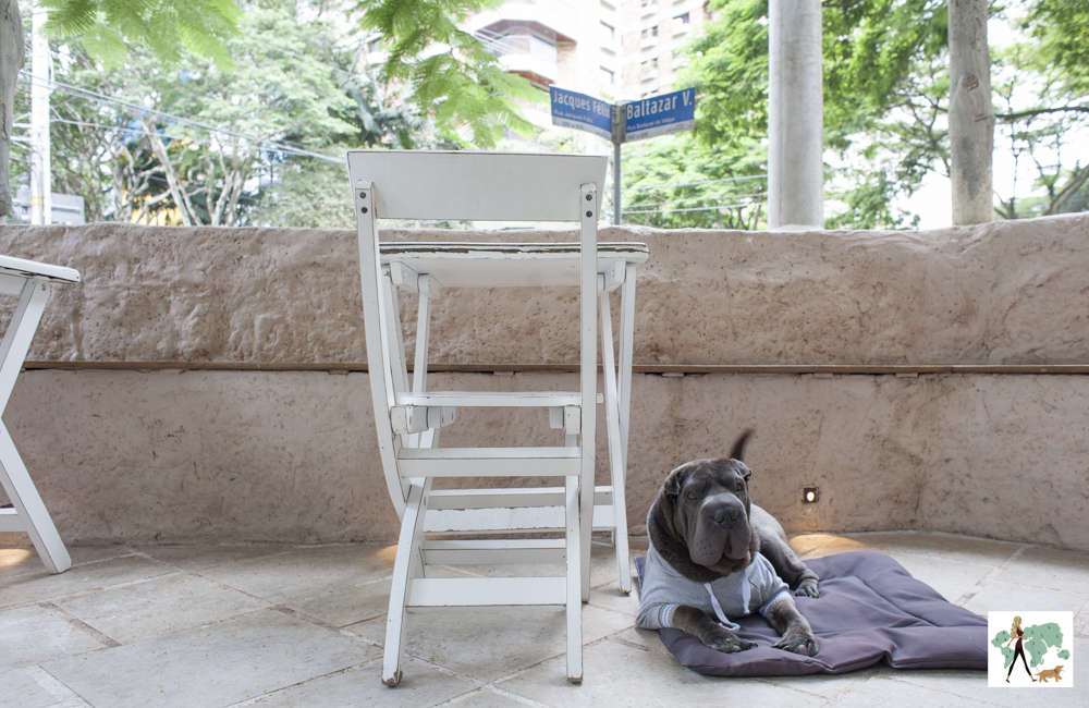 cachorro deitado em cima de colchonete na varanda de restaurante