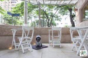 cachorro sentado em cima de colchonete em varanda de restaurante