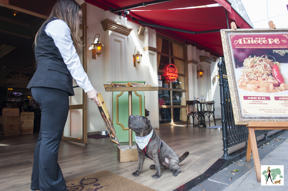 cachorro olhando o cardápio do restaurante Paris 6