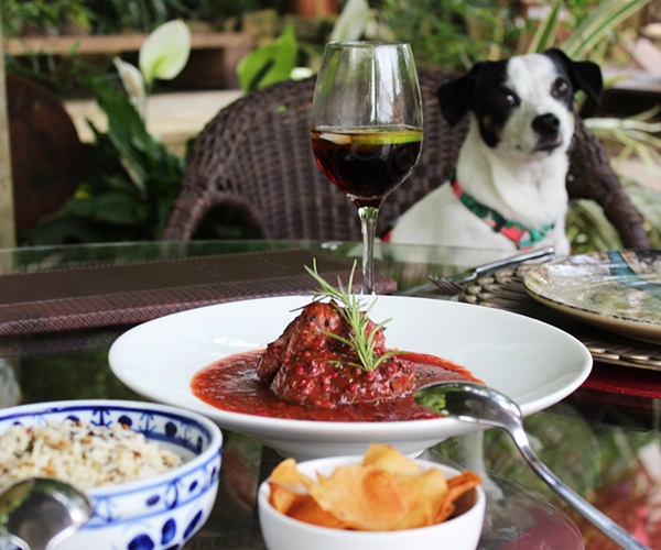 prato de comida e um cachorro ao fundo