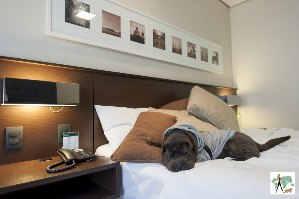 cachorro deitado em cima da cama do hotel Deville de Porto Alegre