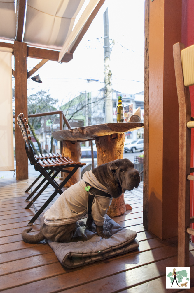 cachorro sentado no deck do Empório Canela