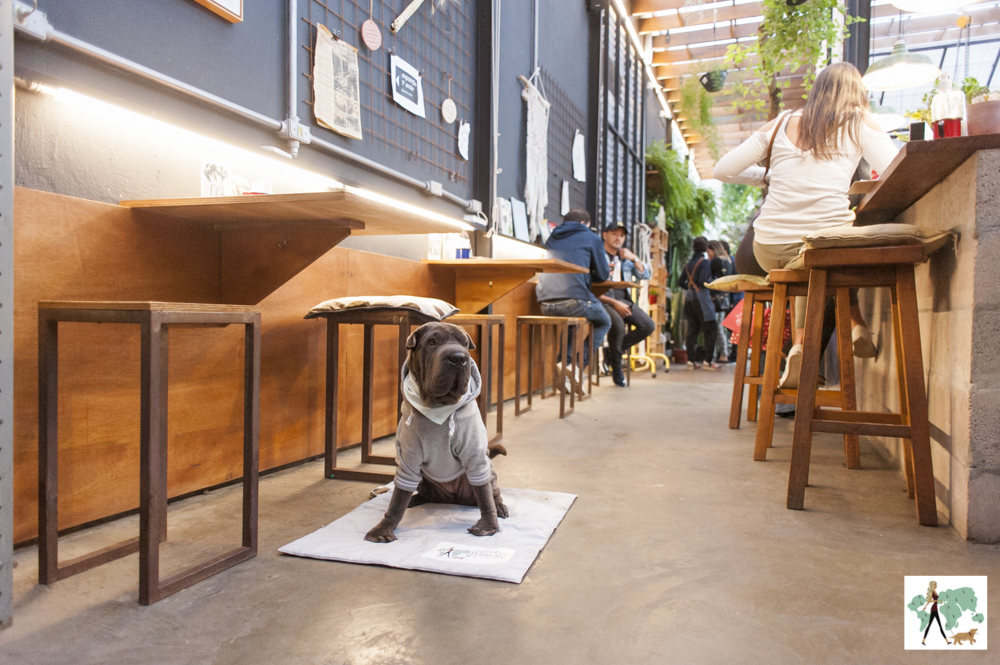 cachorro sentado ao lado de mesas do café