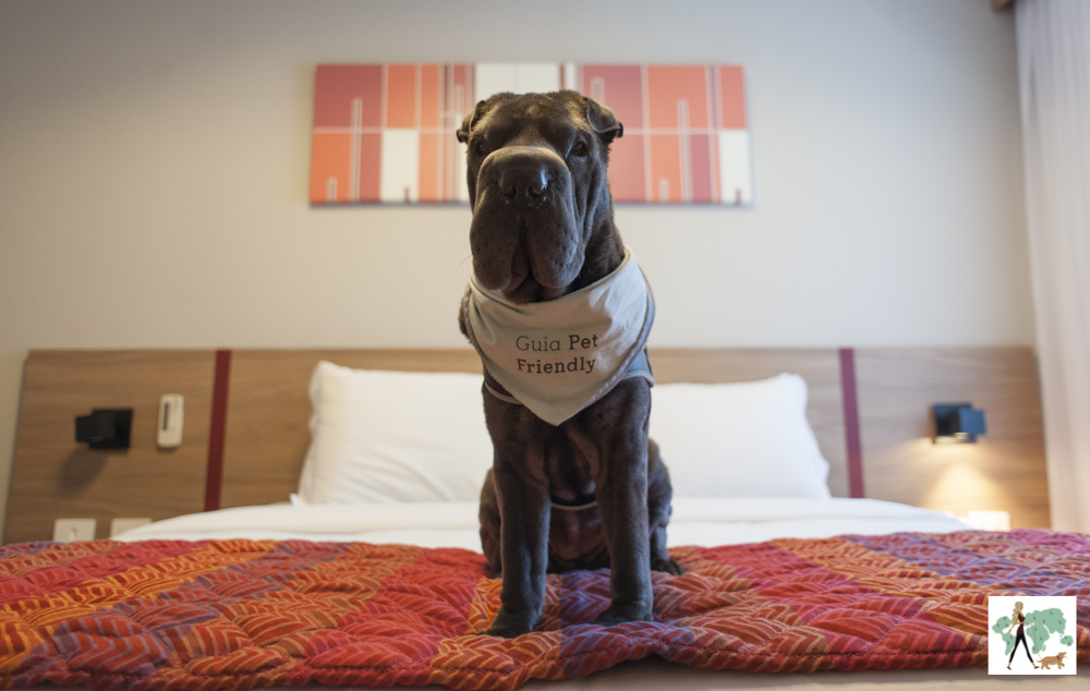 cachorro em cima da cama do Hotel Laghetto