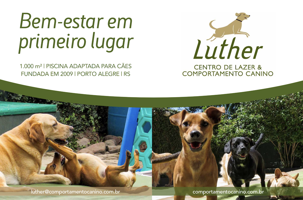 cachorros brincando