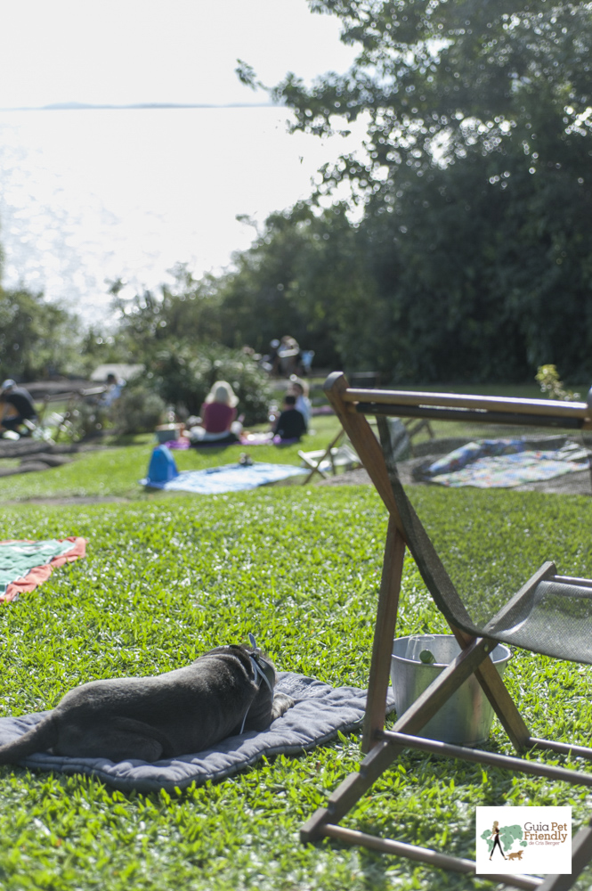 gramado com cachorro deitado e toalhas de piquenique
