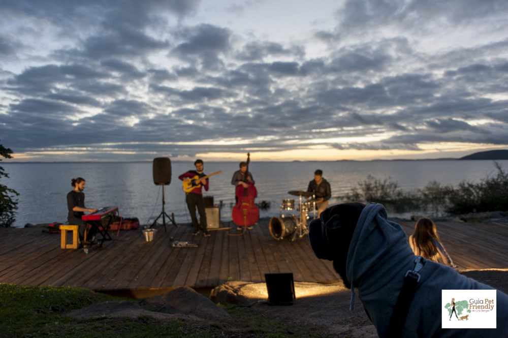 cachorro e banda de jazz no O Butiá