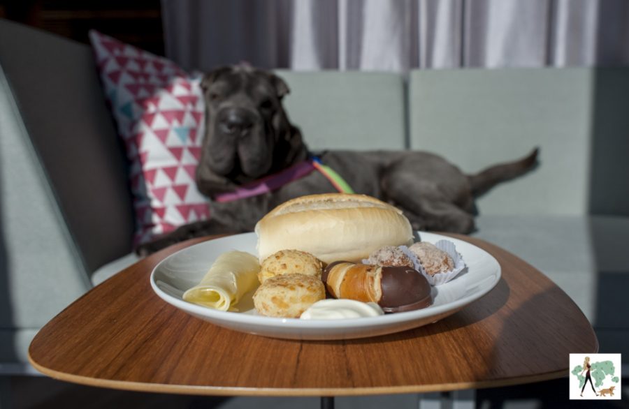 prato de comida e cachorro ao fundo, Ella no Spaces