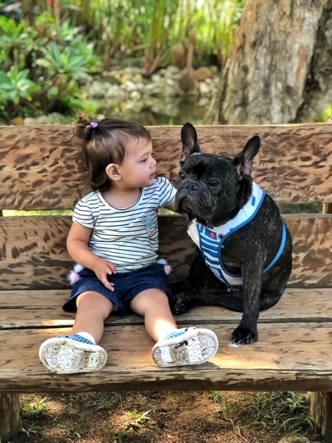 criança e cachorro sentados