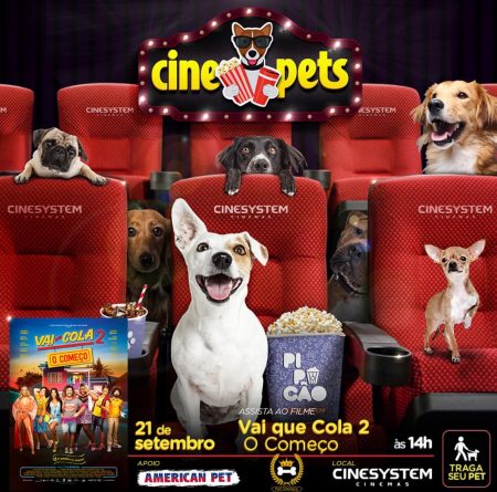 cachorros sentados em sala de cinema - evento Cine Pet