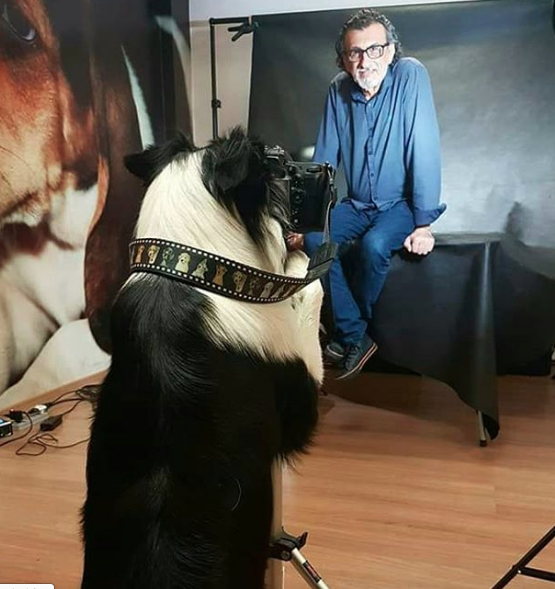 cachorro com camera fotografica