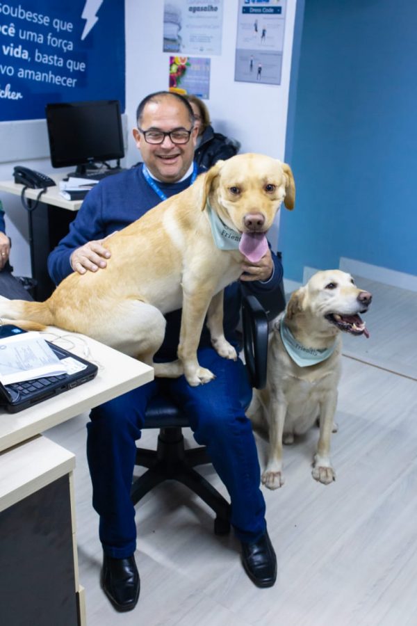 imobiliária pet friendly