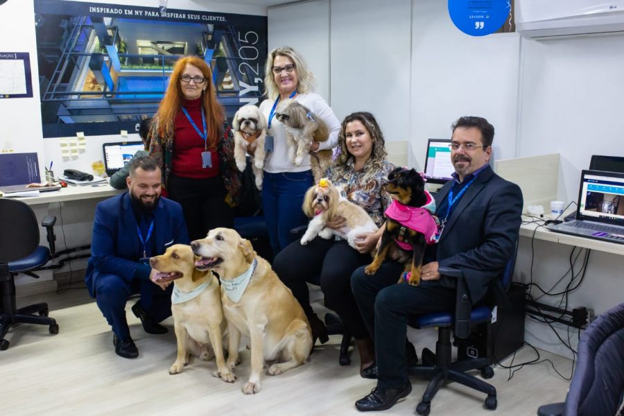 imobiliária pet friendly