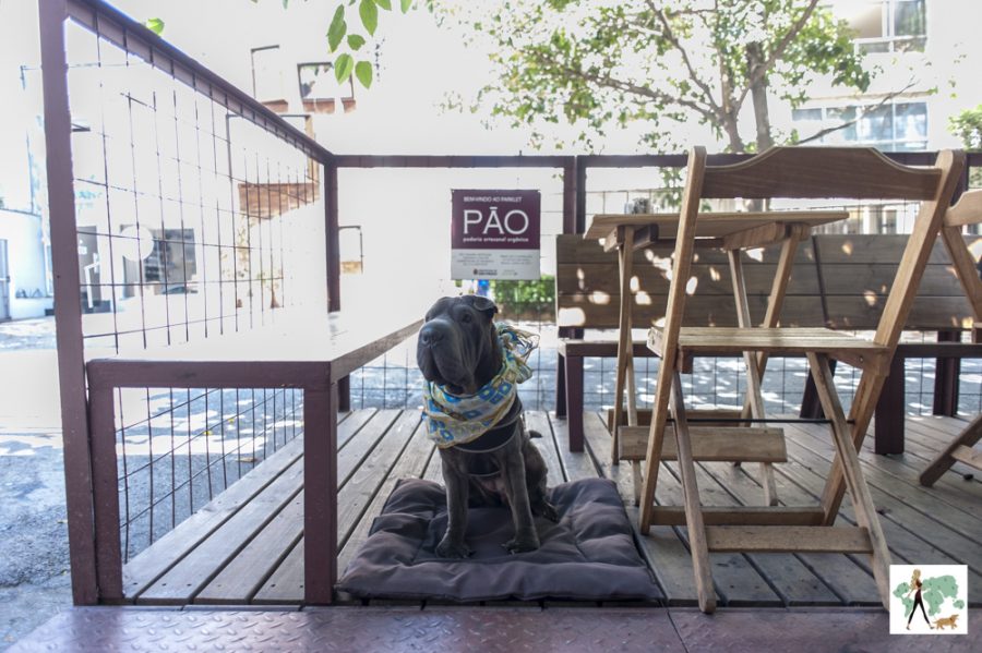 cachorro no parklet da Pão