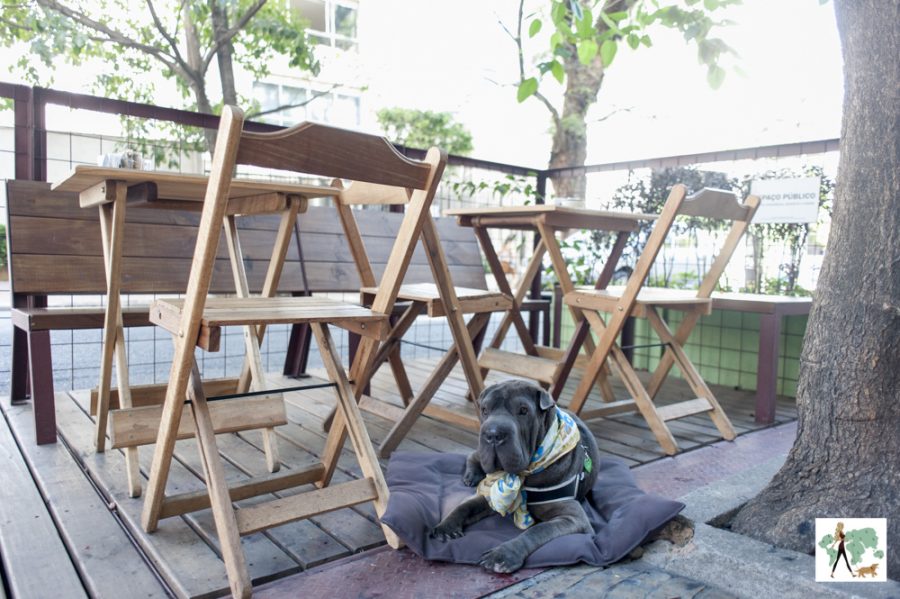 cachorro deitado em parklet da Pão