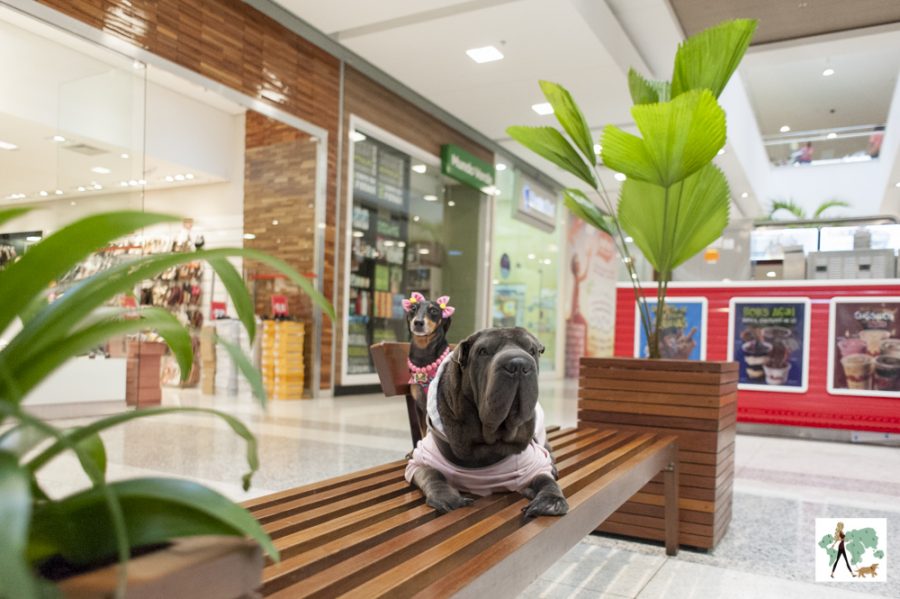 Tiete Plaza Shopping pet friendly