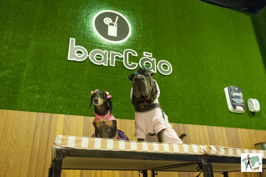 cachorros sentados no clubCão do Tietê Plaza