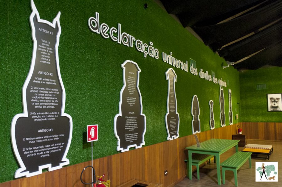 Declaração Universal dos Direitos dos Animais no clubCão