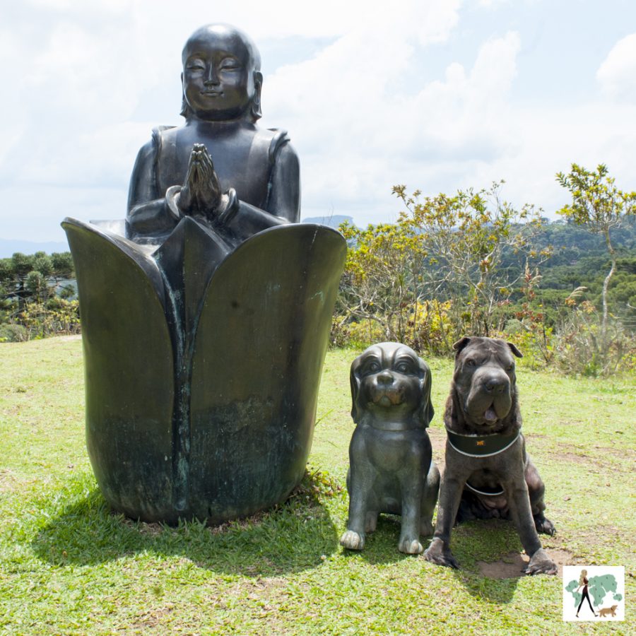 Surya-Pan em Campos do Jordão estátua de um buda e cachorro, com um cachorro de verdade ao lado