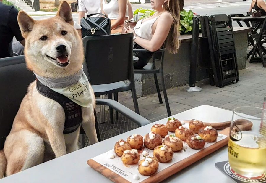 Huevos de Oro pet friendly