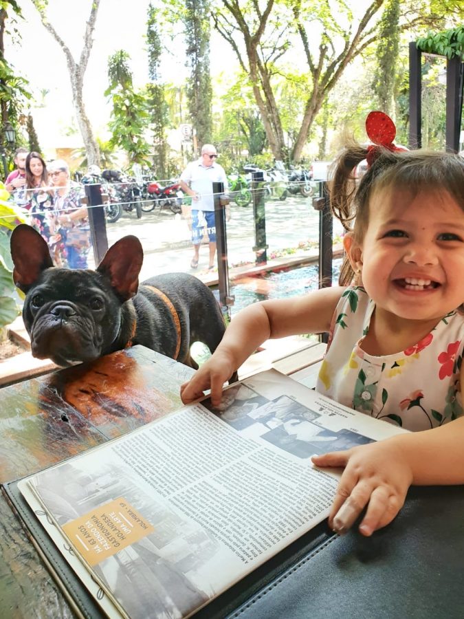 cachorro e criança sorrindo
