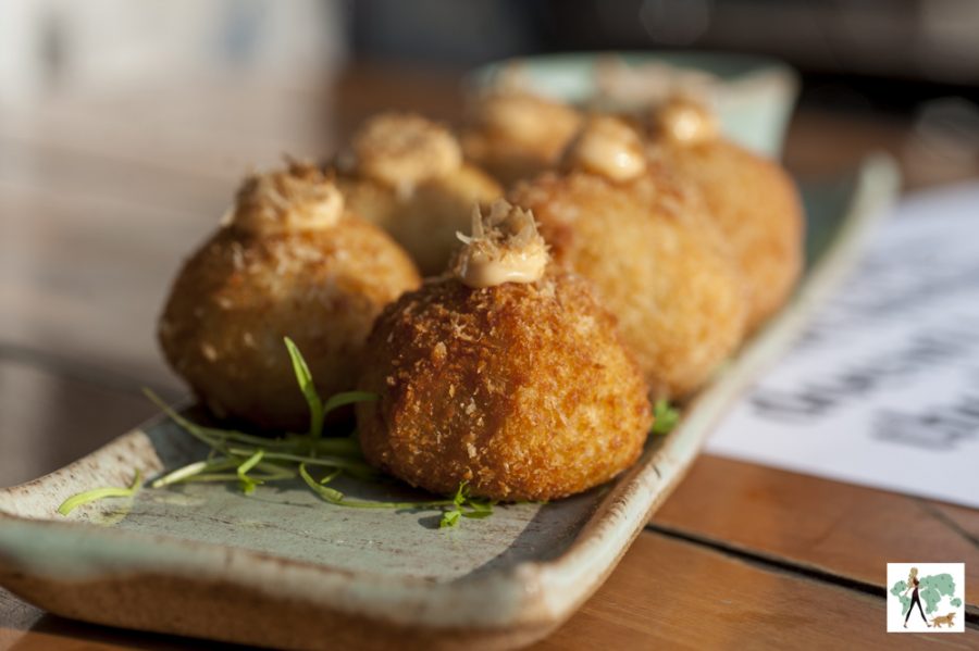 bolinhos de salmão do The Kitchen pet friendly